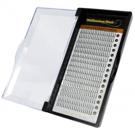 Y-Lashes - 2D - Volumenwimpern - fertige Fächer - Mix Tray 8-15 mm